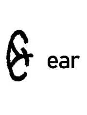 ear modular