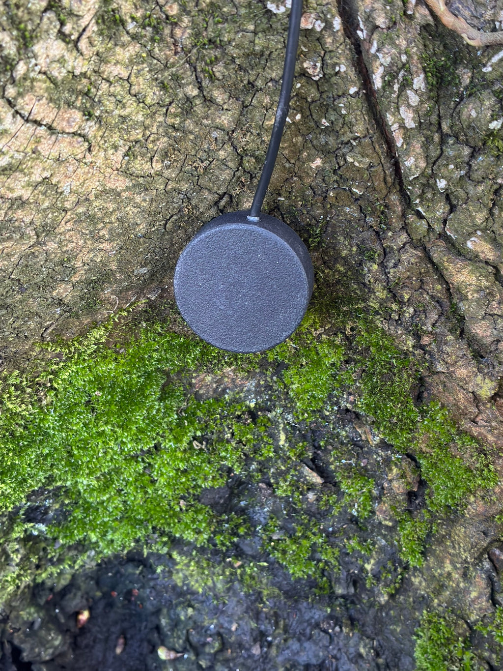 SUS Sonaris Contact Mic - Sound Unseen Space