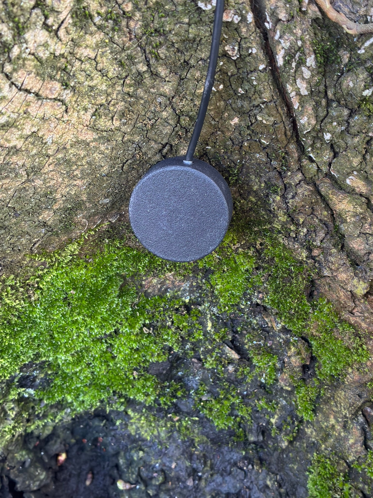 SUS Sonaris Contact Mic - Sound Unseen Space