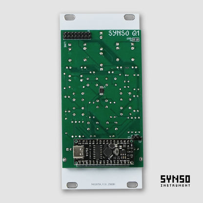 HONG - SYNSO