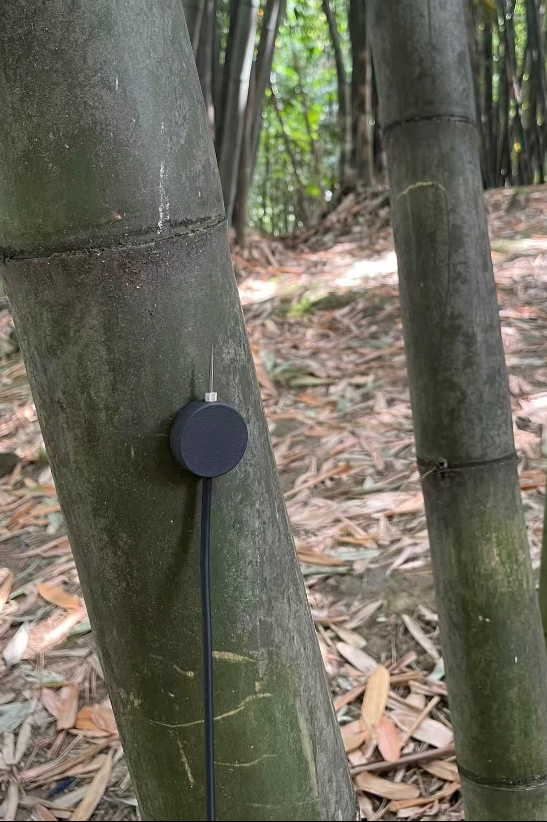 SUS Sonaris Contact Mic - Sound Unseen Space