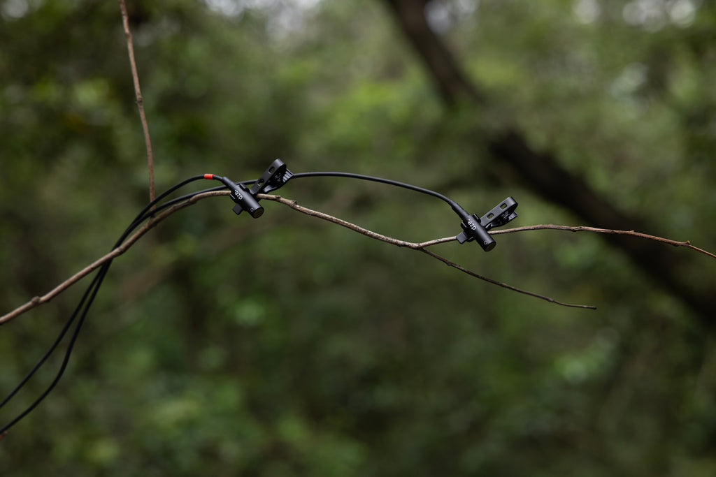 dze Mò (5.5mm)  Omni-directional
