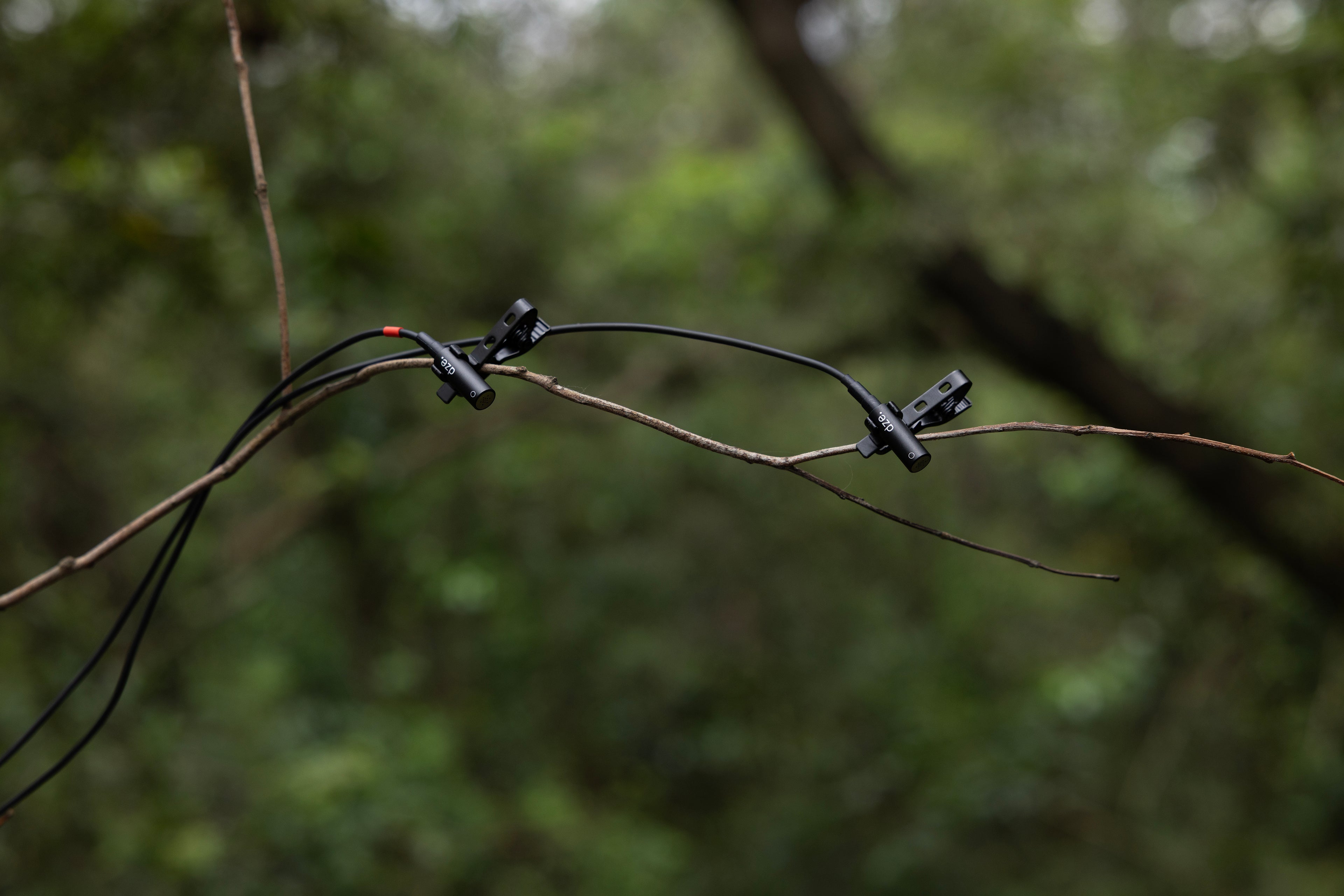 dze Mò (5.5mm)  Omni-directional