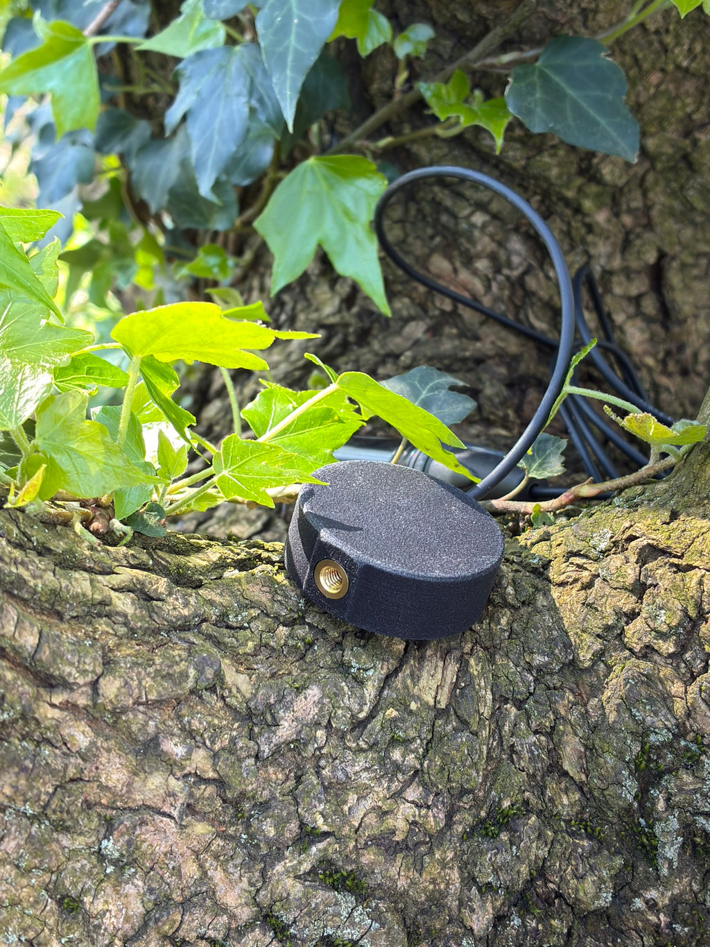 SUS Sonaris Contact Mic - Sound Unseen Space