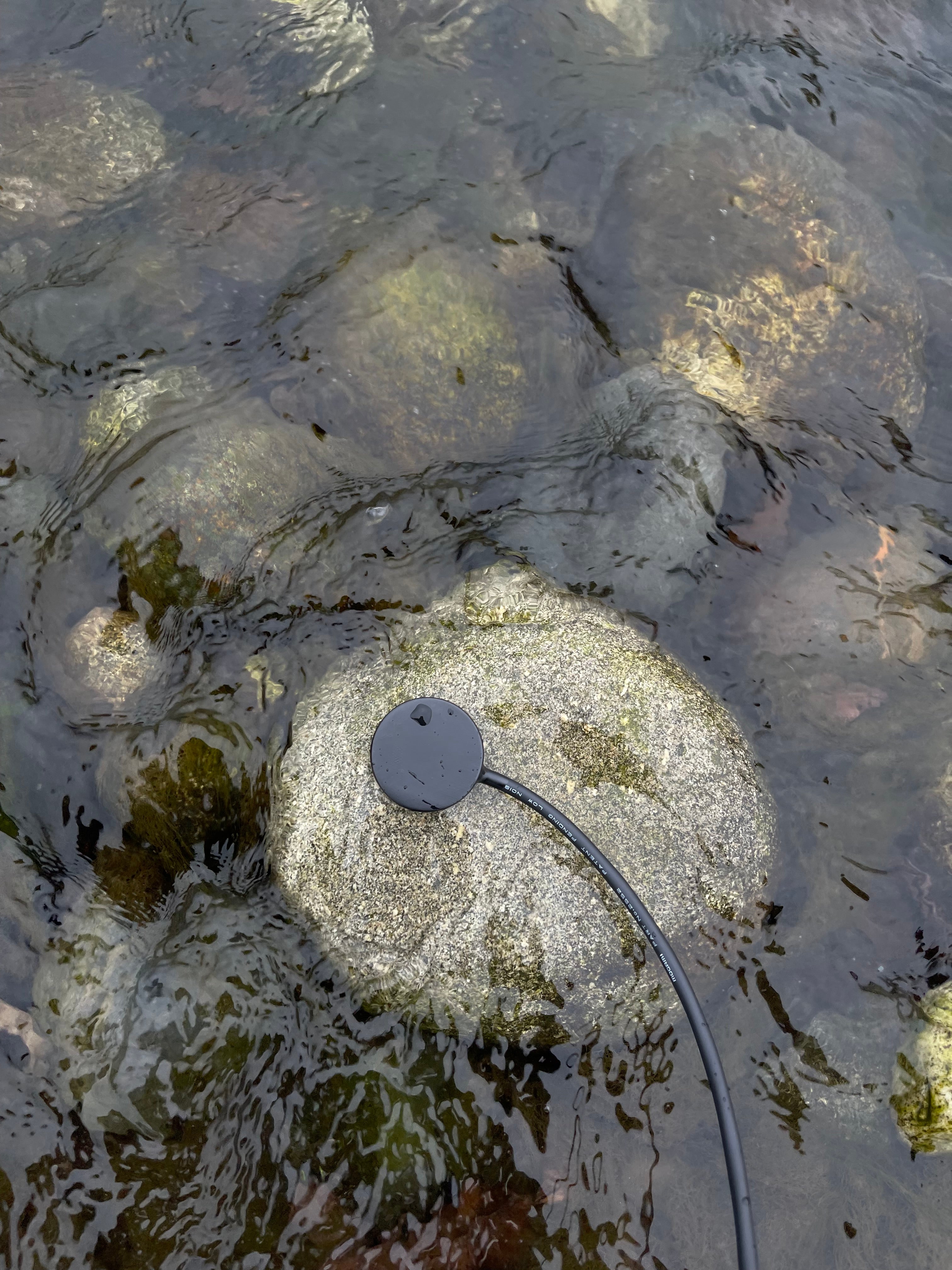 SUS Hydrophone H1 - Sound Unseen Space