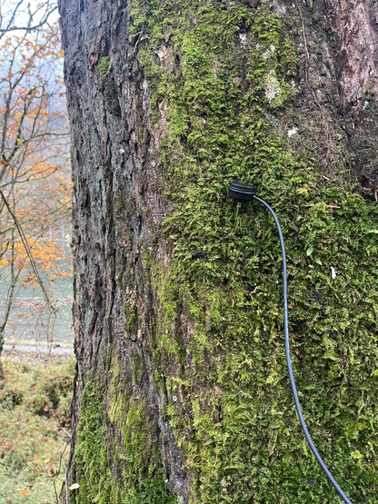 SUS Sonaris Contact Mic - Sound Unseen Space