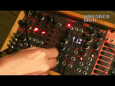 STERSERIES - SYNSO