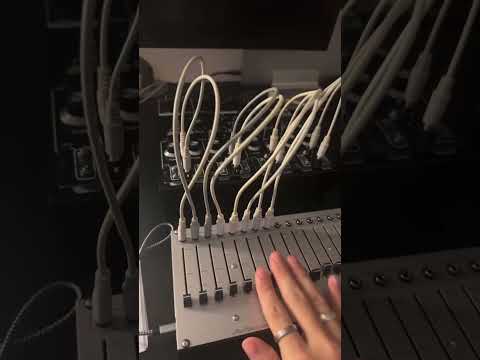 Soma Lyra 8/4 controller (a pair) - ear modular